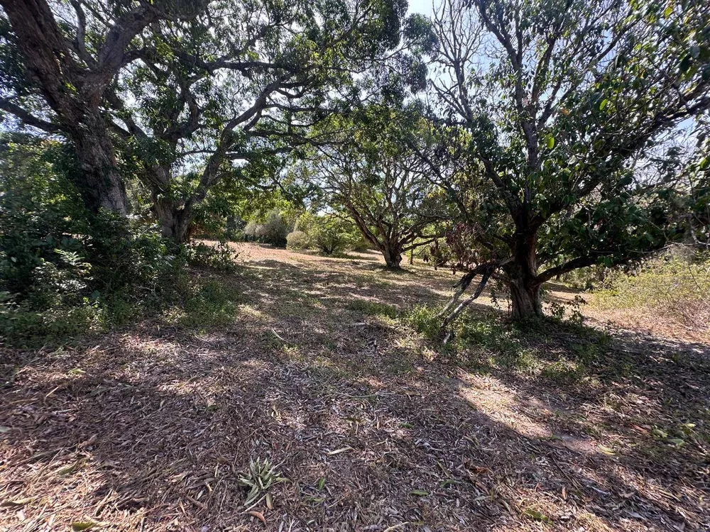 Sítio, 3 quartos, 3 hectares - Foto 37