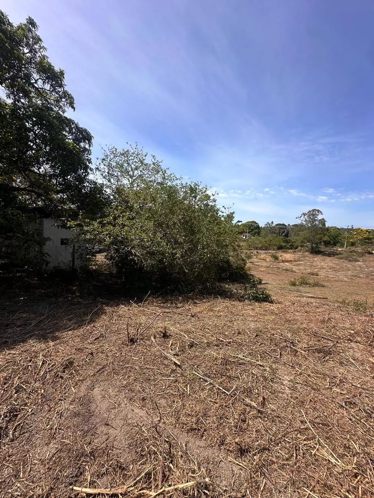 Sítio, 3 quartos, 3 hectares - Foto 36