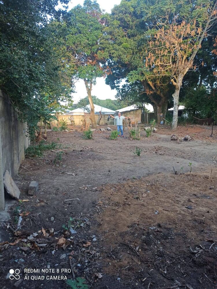 Terreno à venda, 600m² - Foto 3