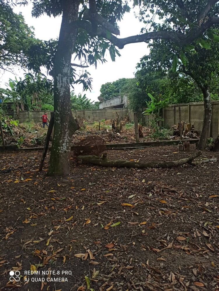 Terreno à venda, 600m² - Foto 4