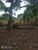 Terreno, 600 m² - Foto 4