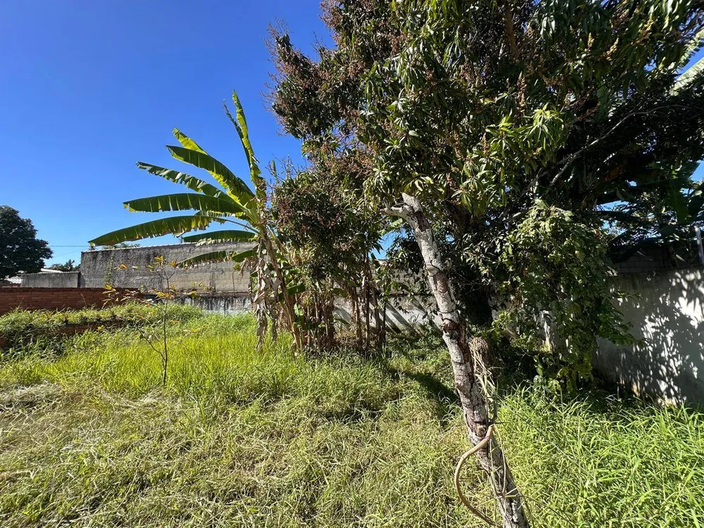 Casa, 4 quartos, 174 m² - Foto 6