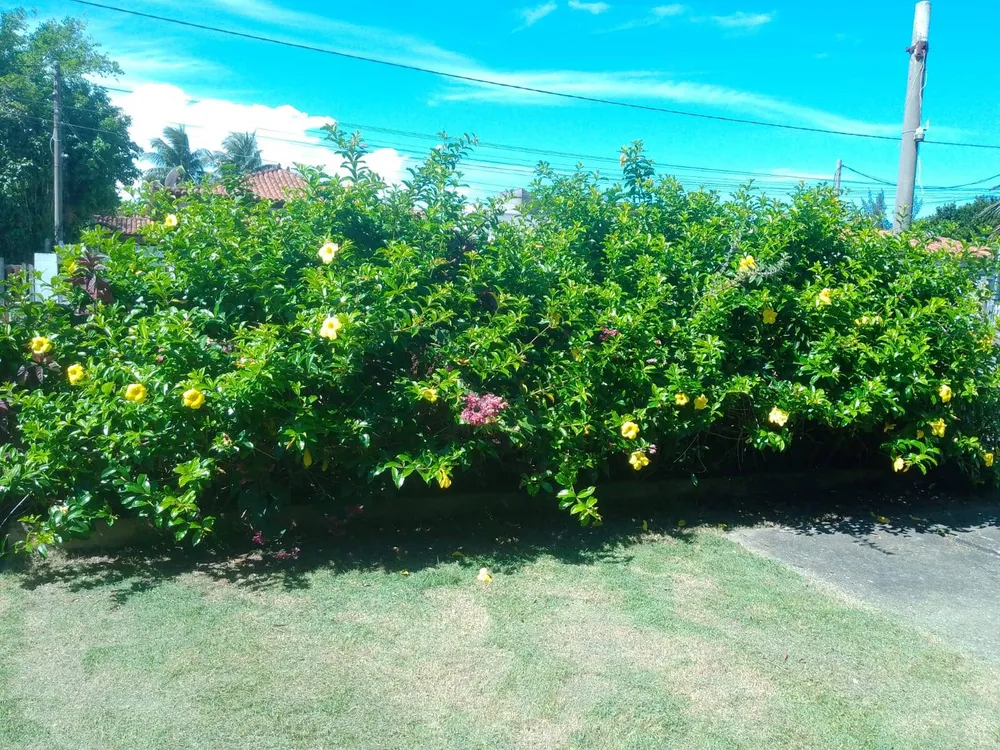 Casa, 2 quartos, 90 m² - Foto 4