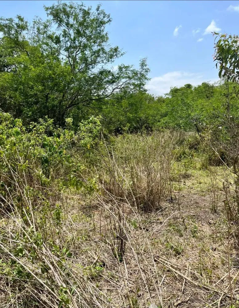 Terreno, 1 hectares - Foto 4