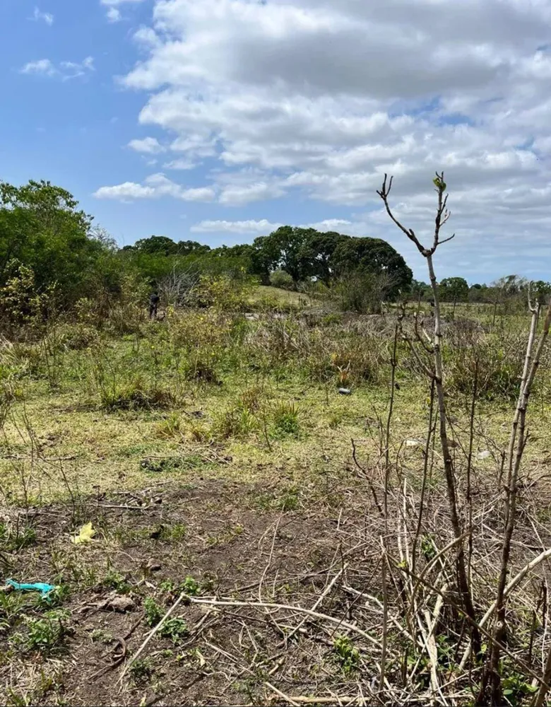 Terreno, 1 hectares - Foto 1