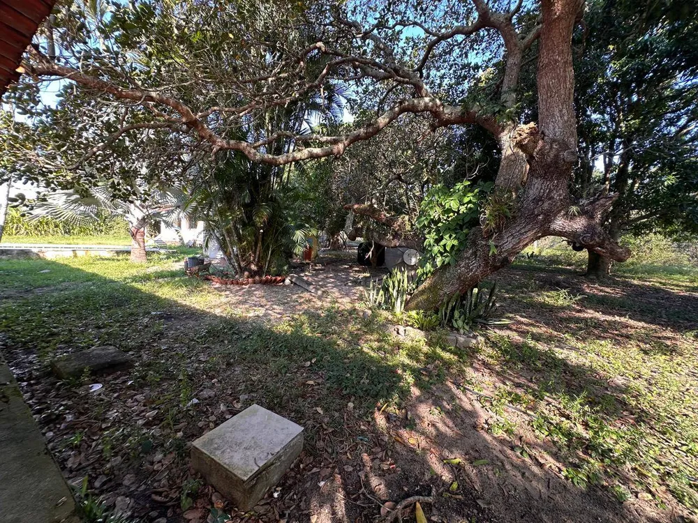 Casa, 5 quartos, 300 m² - Foto 6
