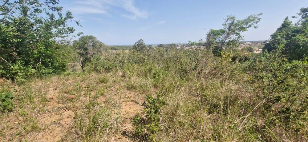 Terreno, 3000 m² - Foto 1