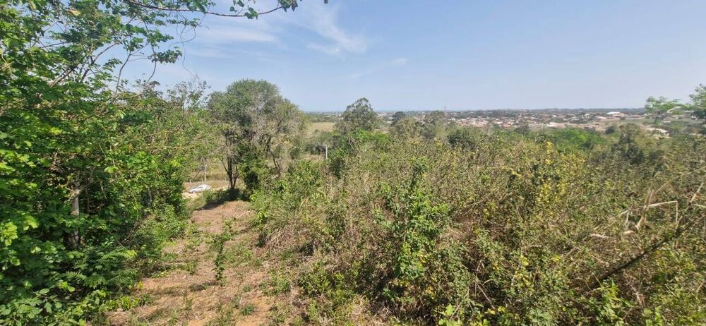 Terreno, 3000 m² - Foto 2