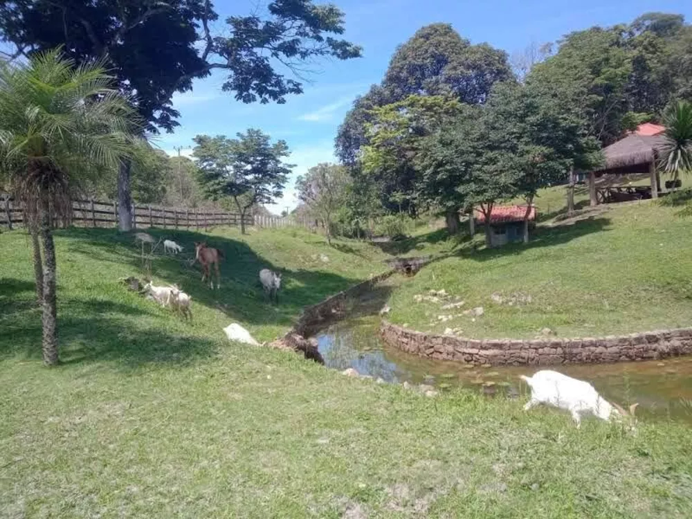 Sítio, 10 quartos, 3 hectares - Foto 31