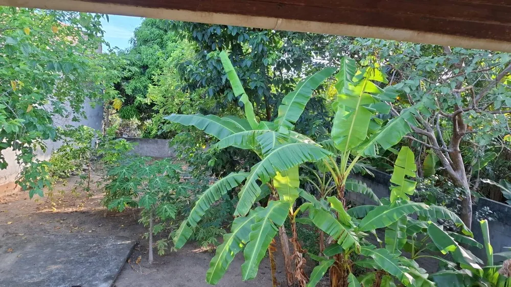 Casa, 2 quartos, 100 m² - Foto 19