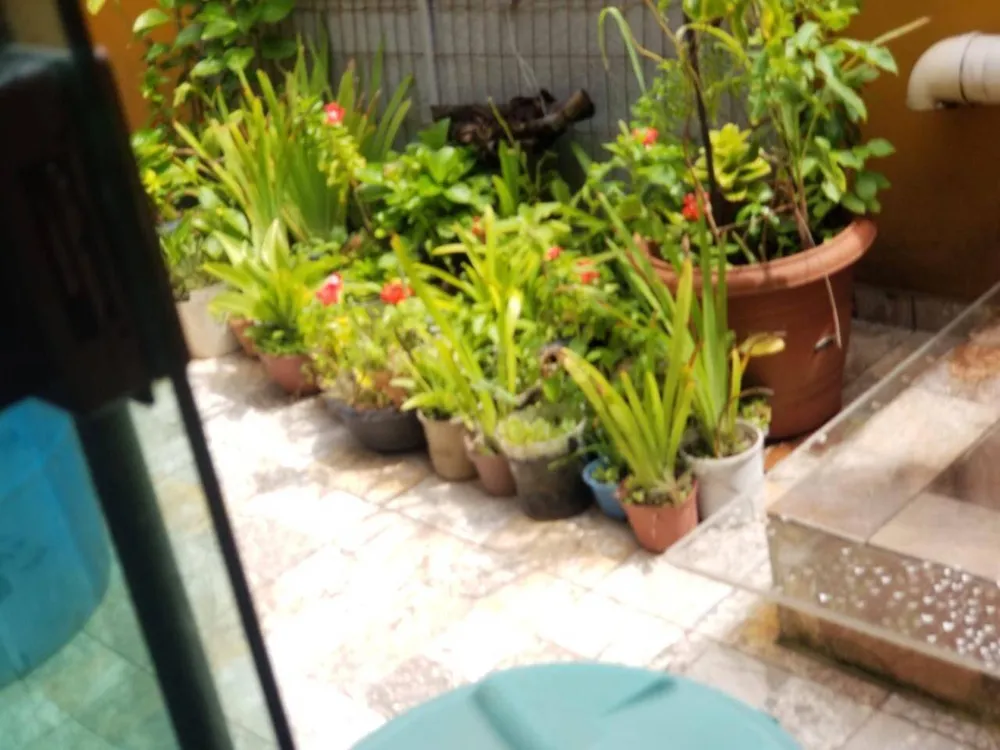 Casa, 4 quartos, 113 m² - Foto 17