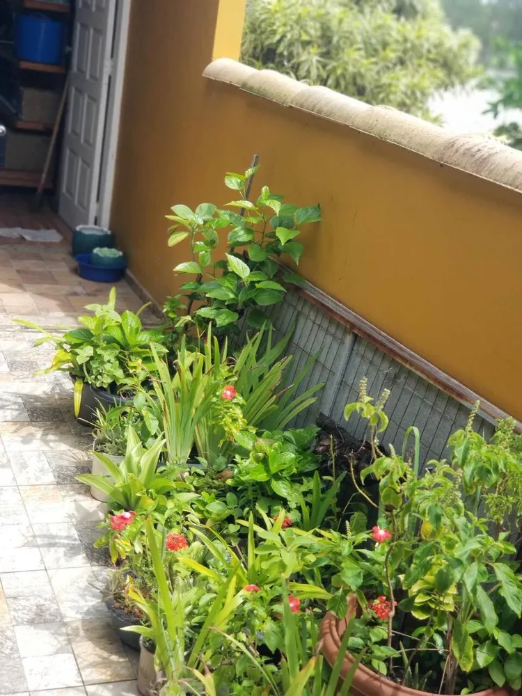 Casa, 4 quartos, 113 m² - Foto 32
