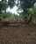 Terreno, 450 m² - Foto 2