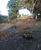 Terreno, 450 m² - Foto 1