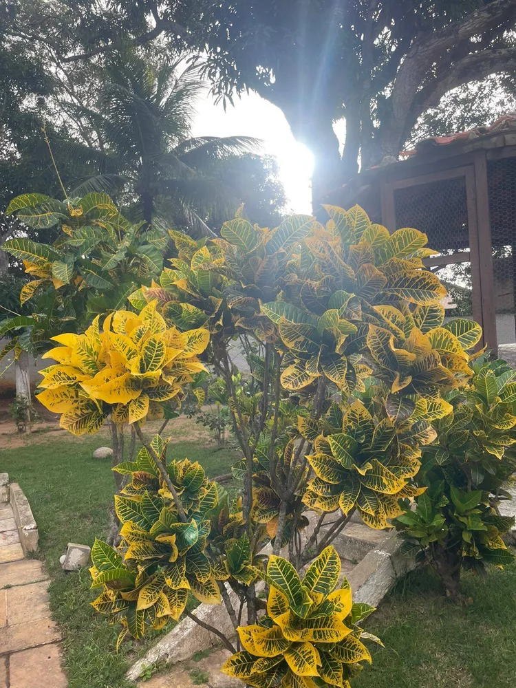 Casa, 3 quartos, 300 m² - Foto 24