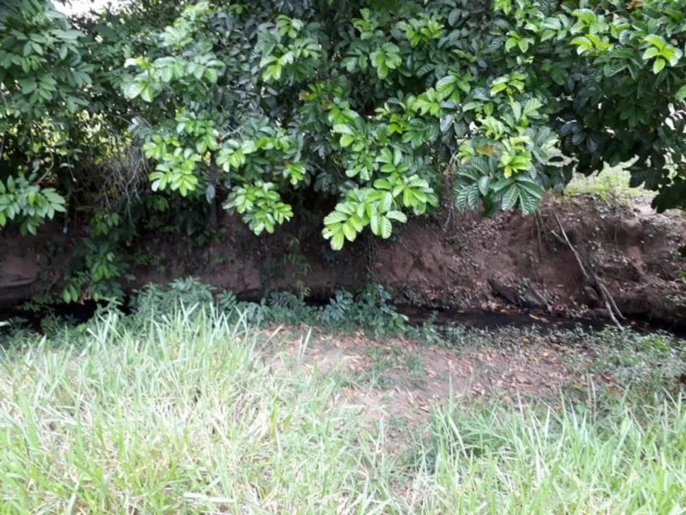 Chácara - Foto 6