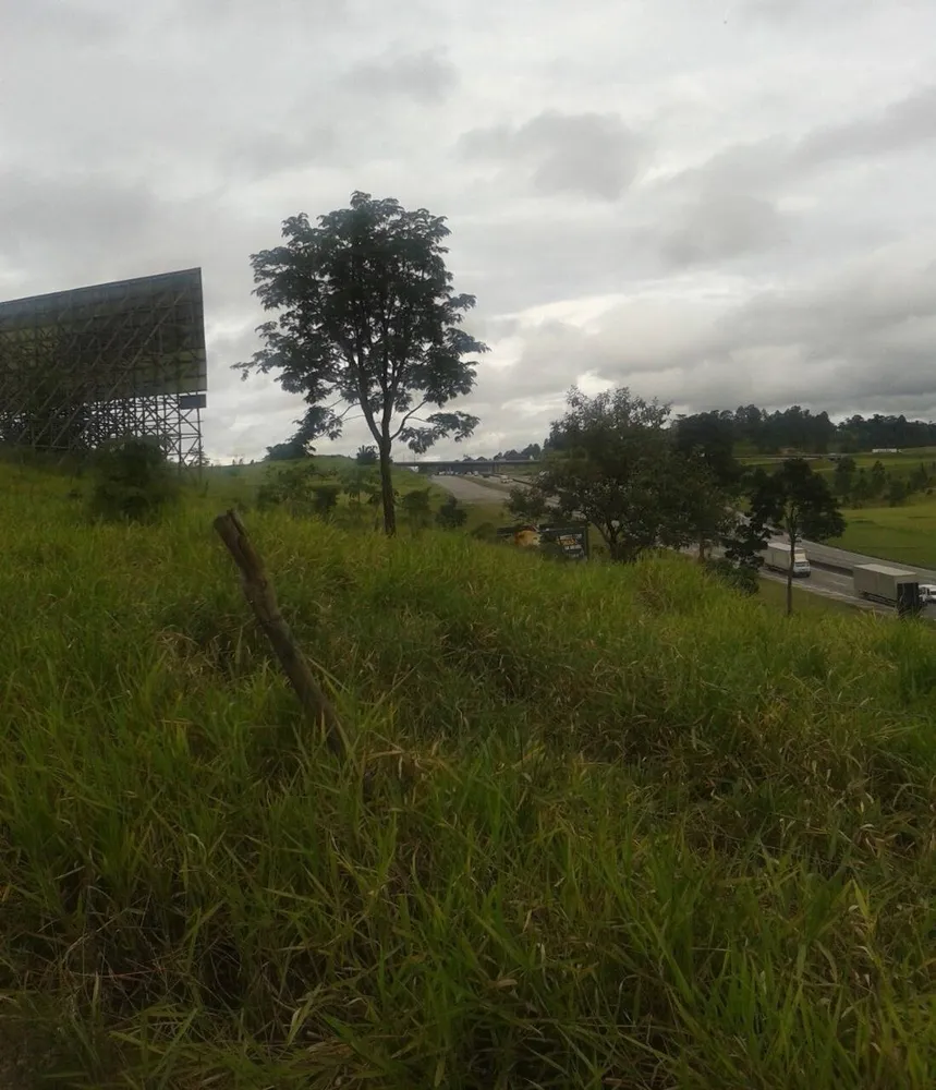 Terreno, 1000 m² - Foto 4