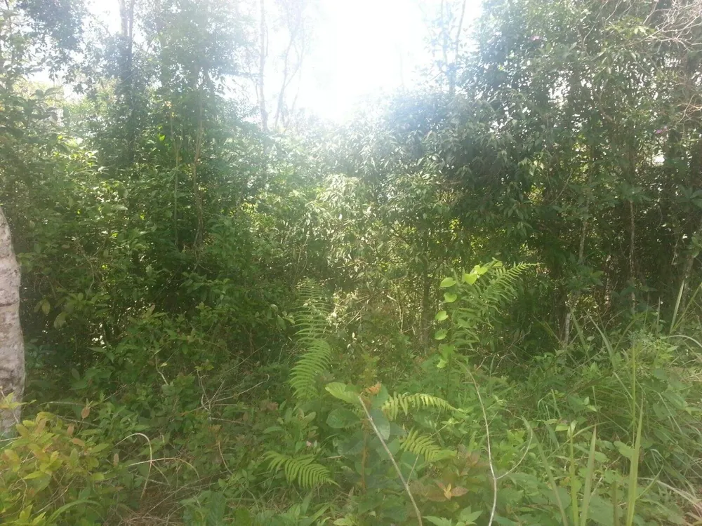 Terreno, 500 m² - Foto 3
