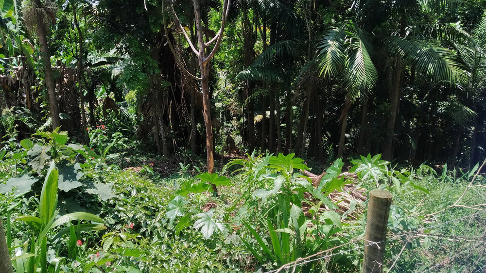 Terreno, 1748 m² - Foto 3