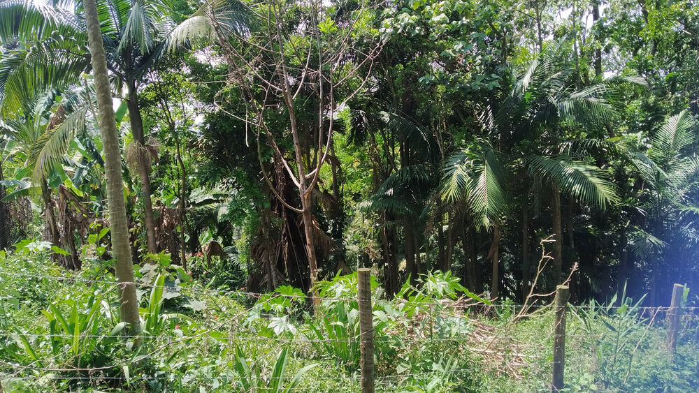 Terreno, 1748 m² - Foto 4