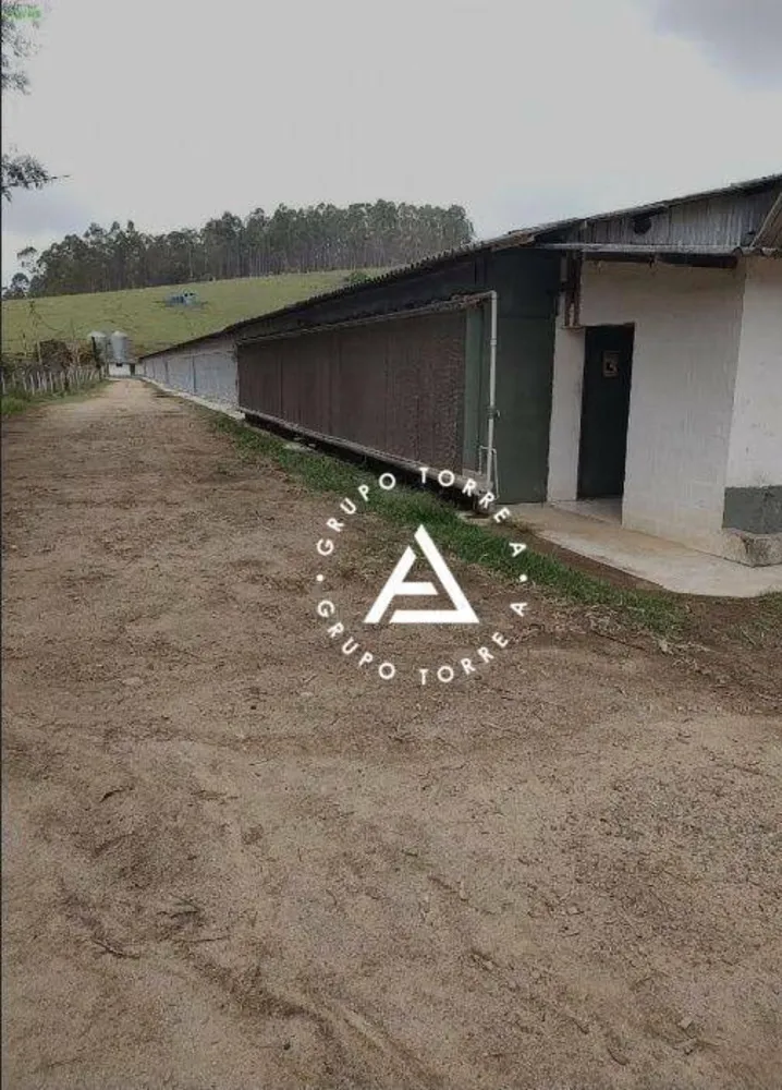 Fazenda, 18 hectares - Foto 5