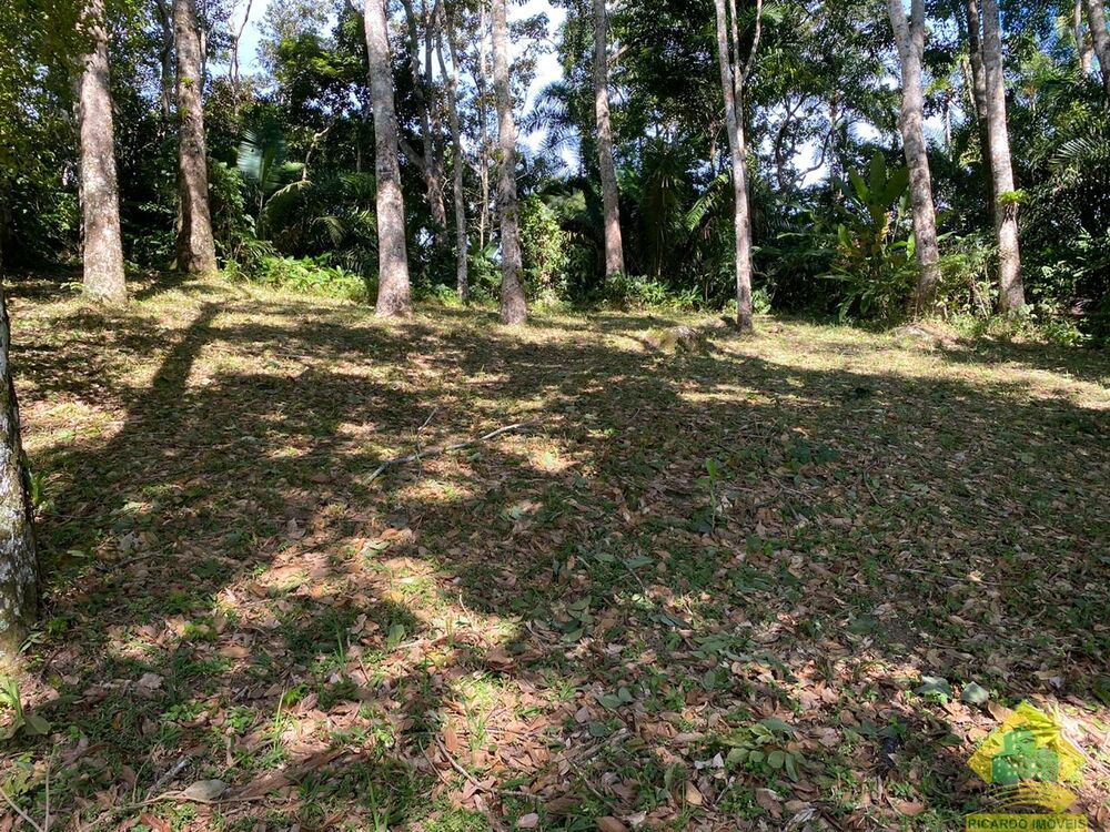 Terreno, 2010 m² - Foto 8