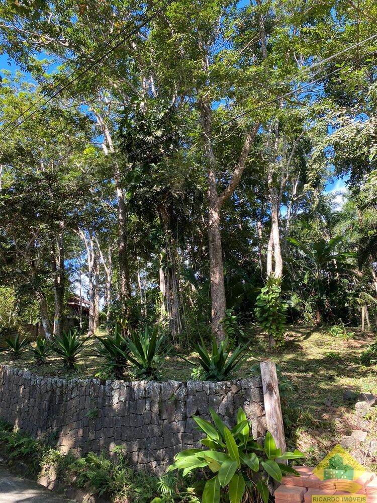 Terreno, 2010 m² - Foto 9