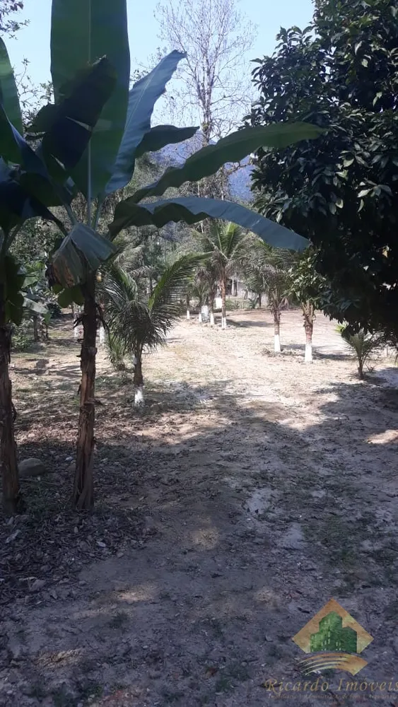 Chácara, 4 quartos, 3500 m² - Foto 13