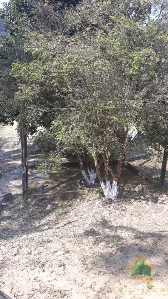 Chácara, 4 quartos, 3500 m² - Foto 16