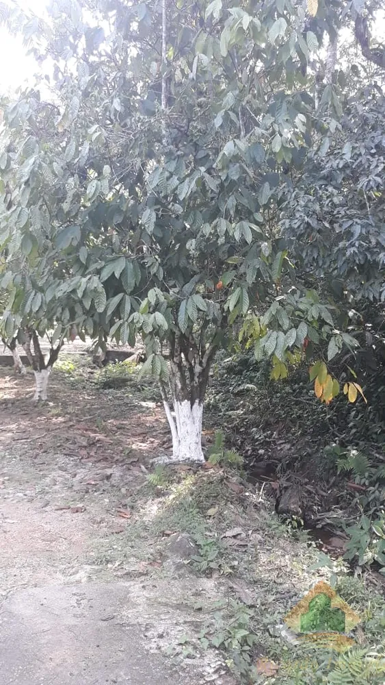 Chácara, 4 quartos, 3500 m² - Foto 15