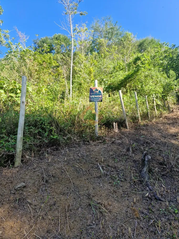 Terreno, 21 hectares - Foto 3