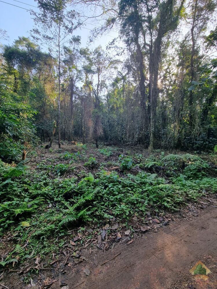 Terreno, 7500 m² - Foto 3