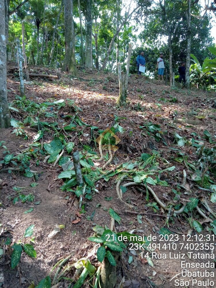Terreno, 638 m² - Foto 2