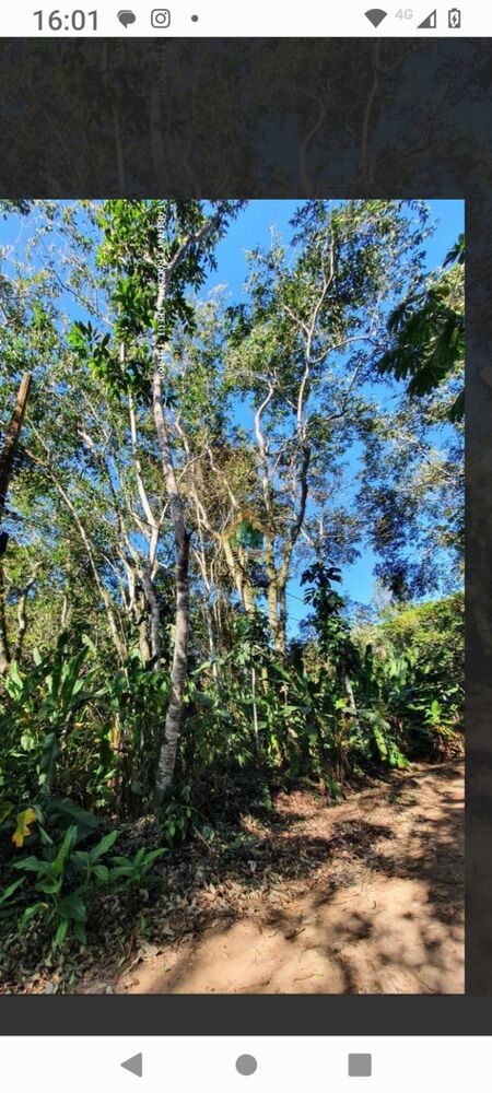 Terreno, 569 m² - Foto 1