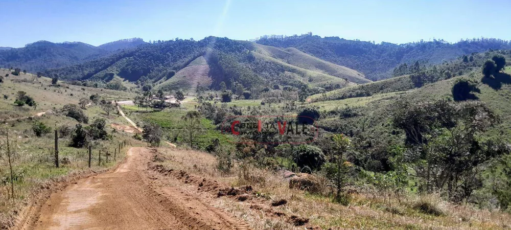 Terreno, 3 hectares - Foto 4