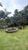 Chácara, 1 quarto, 2000 m² - Foto 2