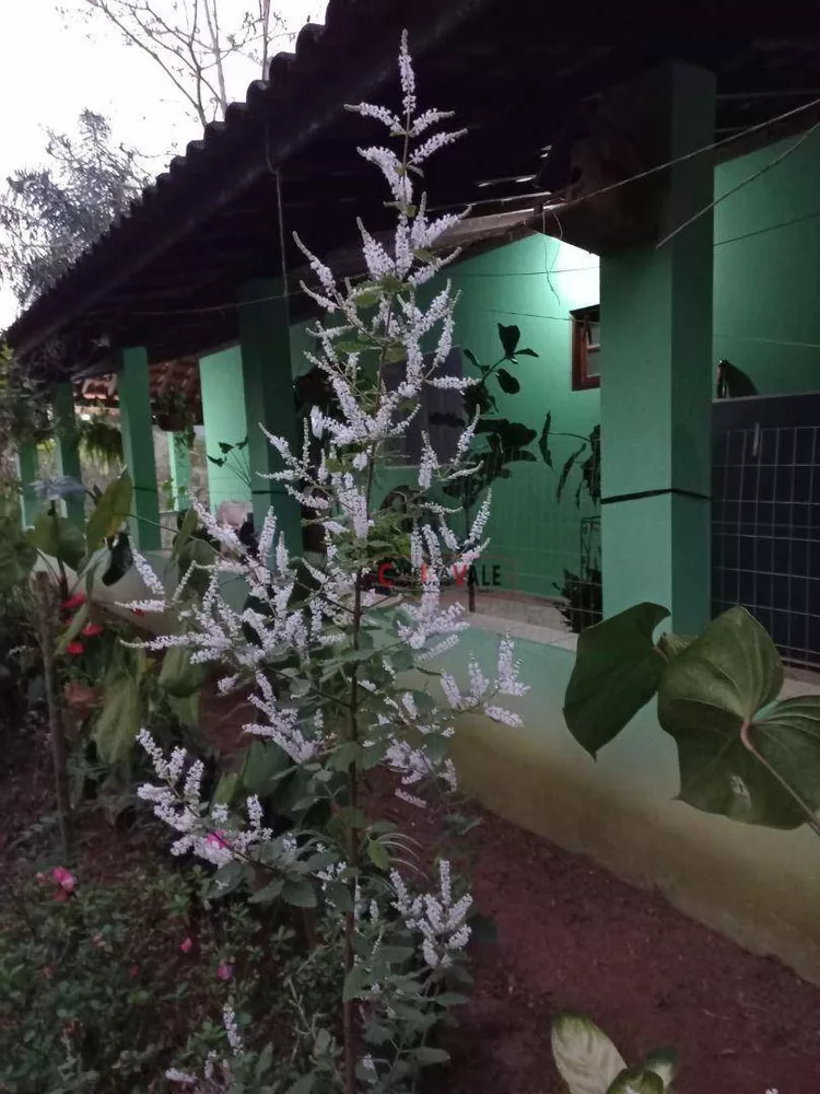 Chácara, 4 quartos, 3 hectares - Foto 4