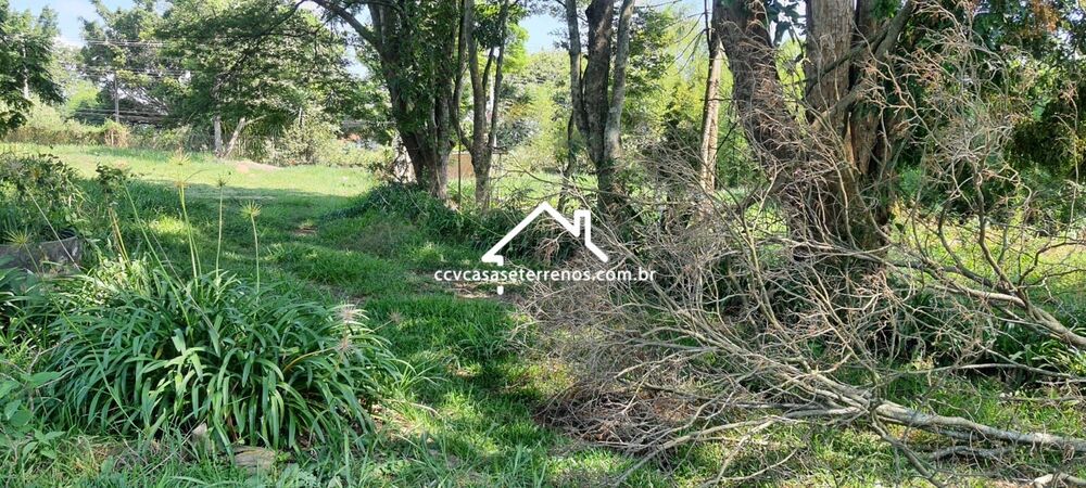 Terreno, 1 hectares - Foto 3