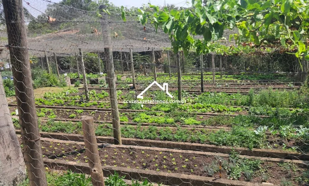 Terreno, 1200 m² - Foto 3