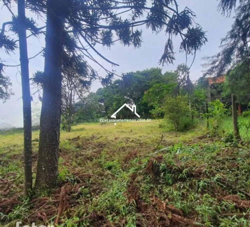Terreno, 1000 m² - Foto 2