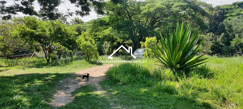 Chácara, 1 hectares - Foto 3