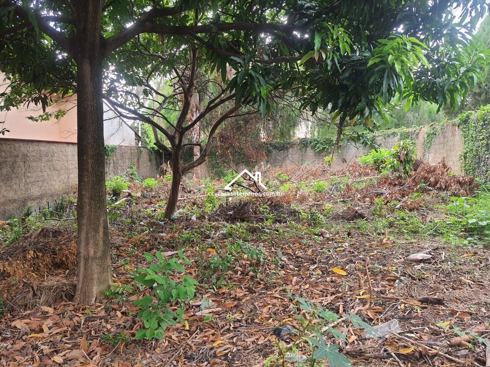 Terreno, 350 m² - Foto 2