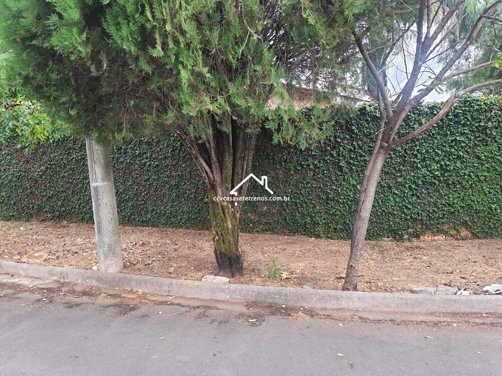 Terreno, 350 m² - Foto 4