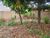 Terreno, 350 m² - Foto 3
