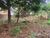 Terreno, 350 m² - Foto 2