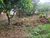 Terreno, 350 m² - Foto 1