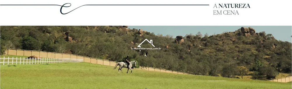 Fazenda - Foto 5
