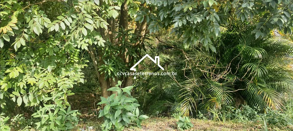 Terreno - Foto 1