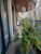 Apartamento, 252 m² - Foto 4