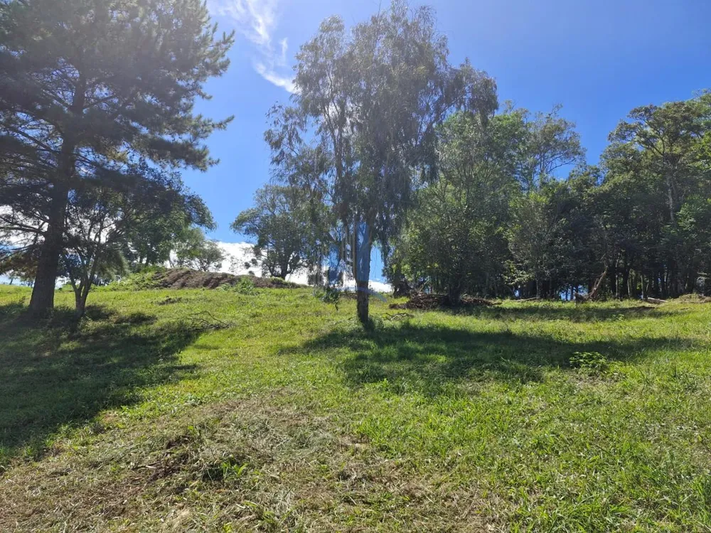 Terreno, 1090 m² - Foto 2